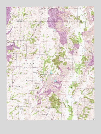 College Mound, MO USGS Topographic Map