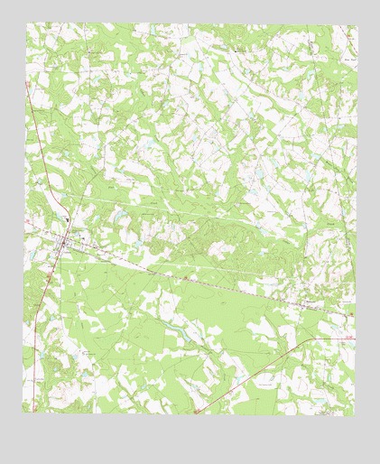 Collins, GA USGS Topographic Map