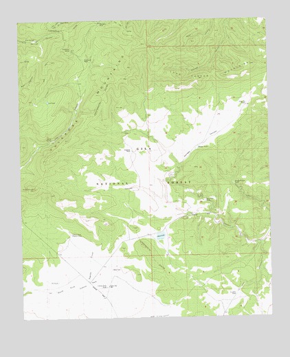 Collins Park, NM USGS Topographic Map