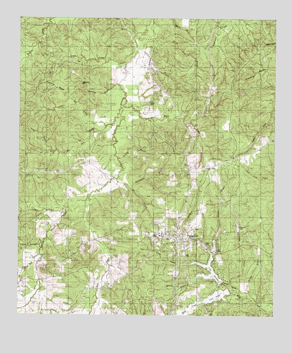 Colmesneil, TX USGS Topographic Map