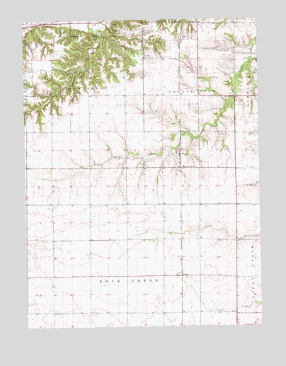 Colusa, IL USGS Topographic Map