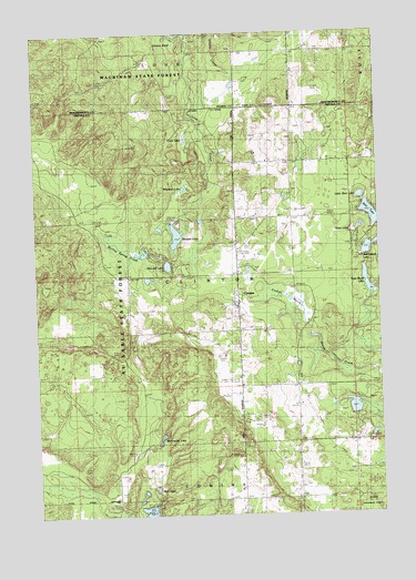 Comins, MI USGS Topographic Map