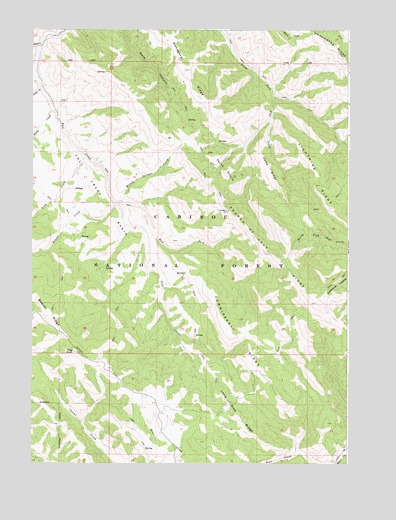 Commissary Ridge, ID USGS Topographic Map