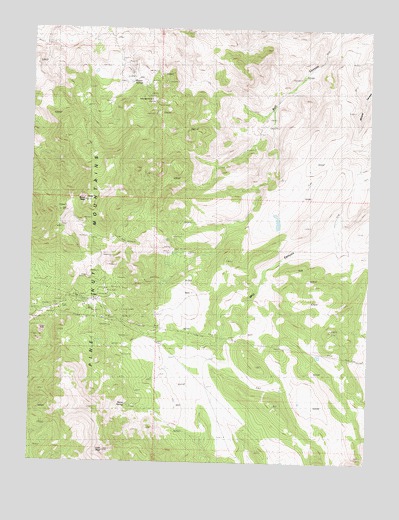 Como, NV USGS Topographic Map