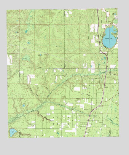 Compass Lake, FL USGS Topographic Map