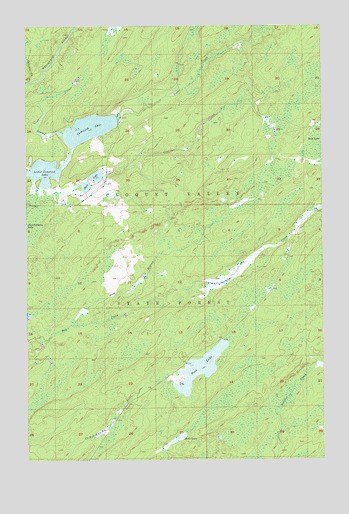 Comstock Lake, MN USGS Topographic Map