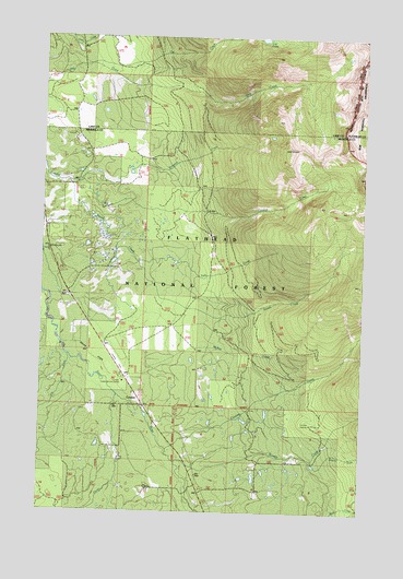 Condon, MT USGS Topographic Map