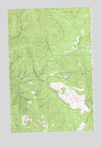 Coney Peak, MT USGS Topographic Map