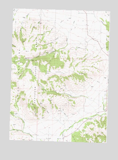 Connor Ridge, ID USGS Topographic Map