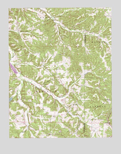 Conns Creek, MO USGS Topographic Map