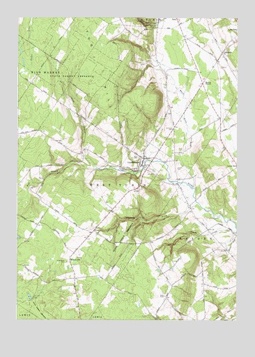 Constableville, NY USGS Topographic Map