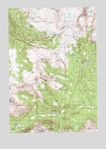 Cooke City, MT USGS Topographic Map