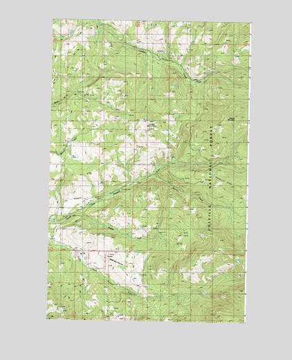 Cooke Mountain, WA USGS Topographic Map
