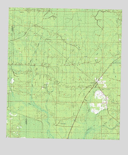 Cooks Hammock, FL USGS Topographic Map