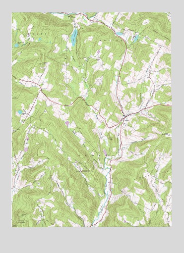 Andes, NY USGS Topographic Map