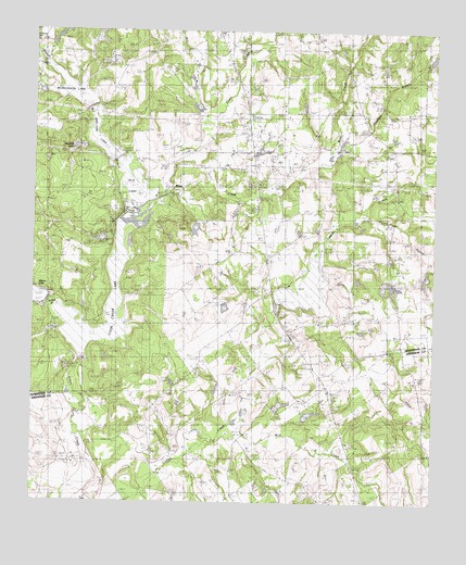 Coon Creek Lake, TX USGS Topographic Map