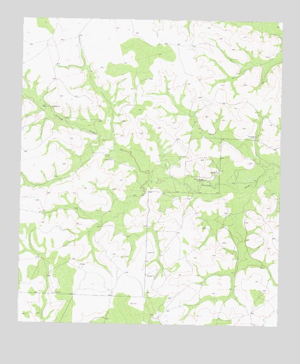 Coon Dive Draw NW, TX USGS Topographic Map
