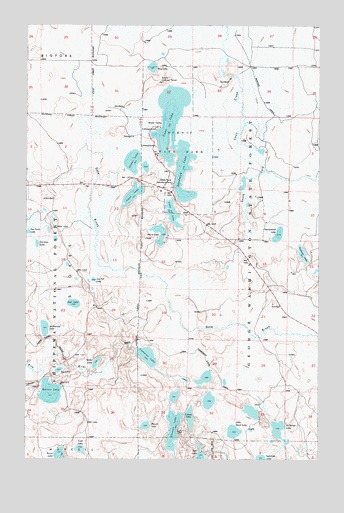 Coon Lake, MN USGS Topographic Map