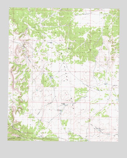 Cooper Canyon, NM USGS Topographic Map