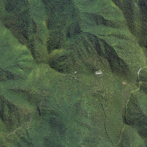 Aerial imagery of Beetree Gap, NC