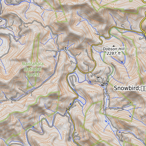 OpenTopoMap map of Dick Branch, NC