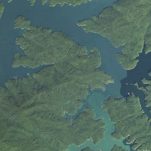Aerial imagery of Flint Gap, NC