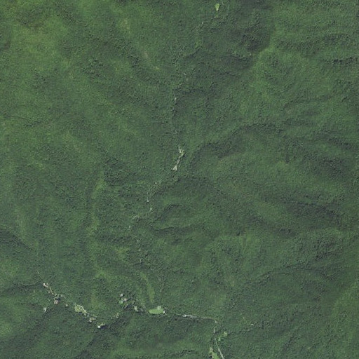 Aerial imagery of Long Branch, NC