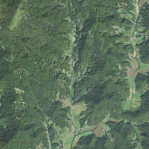 Aerial imagery of Shingle Branch, NC