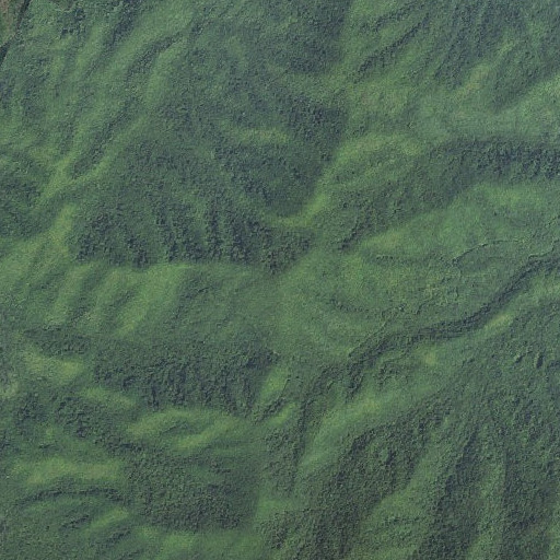 Aerial imagery of Cold Spring Knob, NC