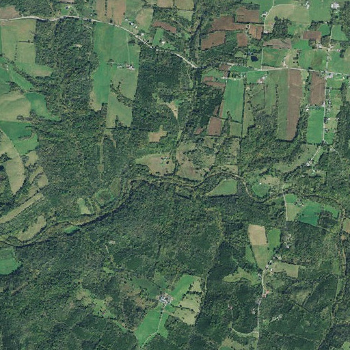 Aerial imagery of Adas Run, OH