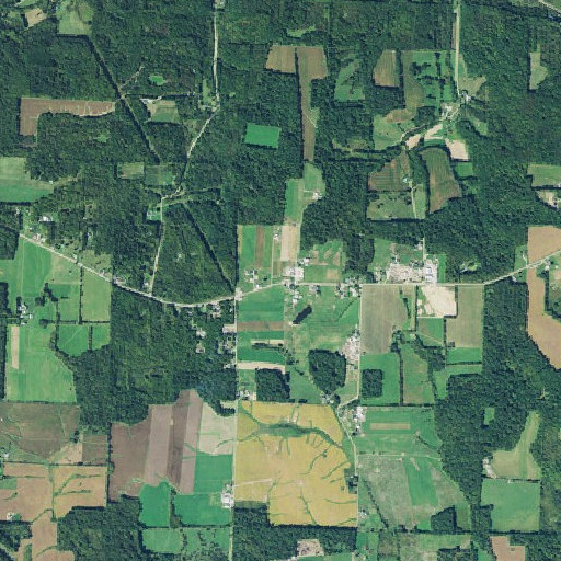 Aerial imagery of School Number 4 (historical), OH