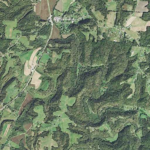 Aerial imagery of Rags Run, OH