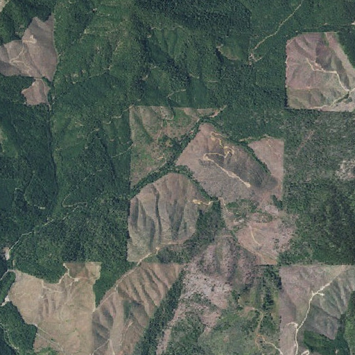 Aerial imagery of Benson Gulch, OR