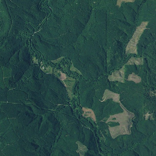 Aerial imagery of Dog Creek, OR