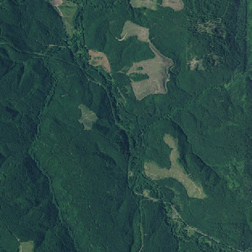 Aerial imagery of Kenusky Creek, OR