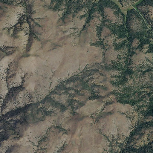 Aerial imagery of Leonard Canyon, OR