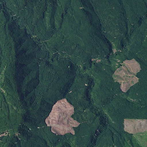 Aerial imagery of Lost Creek, OR