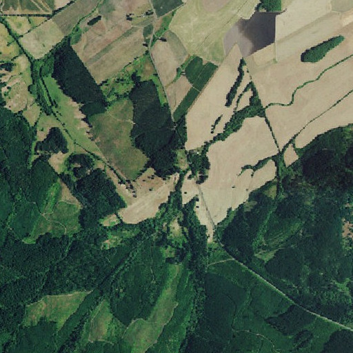Aerial imagery of Middle Fork Berry Creek, OR