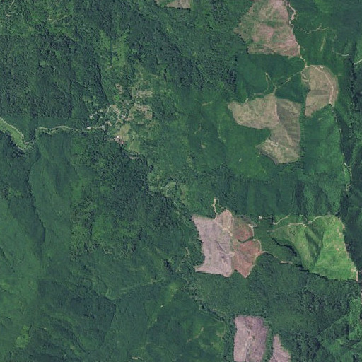 Aerial imagery of Monroe Creek, OR