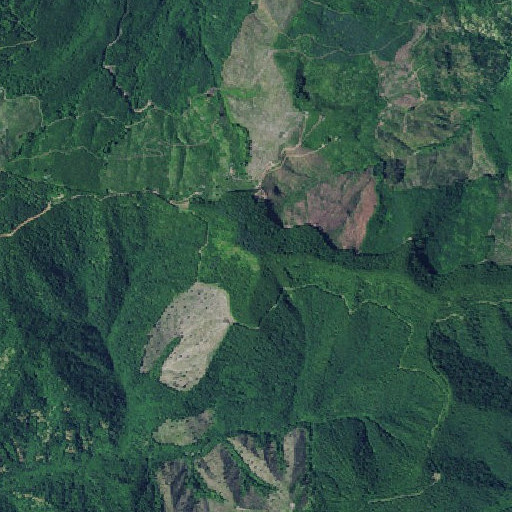 Aerial imagery of Pinochle Peak, OR