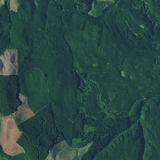 Aerial imagery of Scout Lake, OR