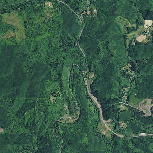 Aerial imagery of Simpson Creek, OR