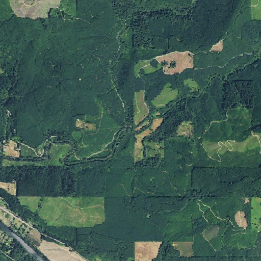 Aerial imagery of South Fork Gate Creek, OR