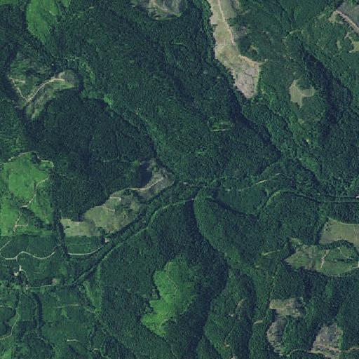 Aerial imagery of South Fork Nehalem River, OR