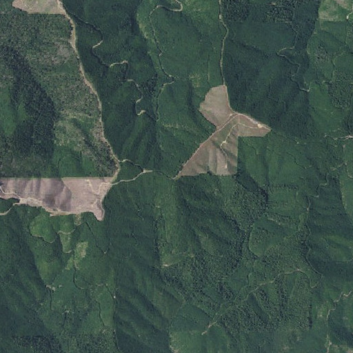 Aerial imagery of Stag Trail, OR