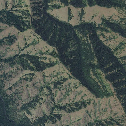 Aerial imagery of Trippier Point, OR
