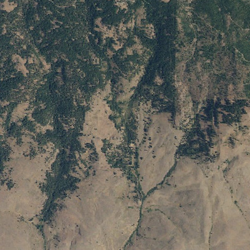 Aerial imagery of Water Pipe Gulch, OR