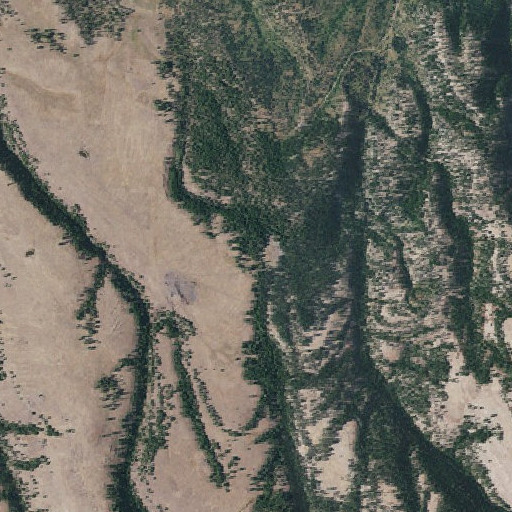 Aerial imagery of Winter Canyon Spring, OR