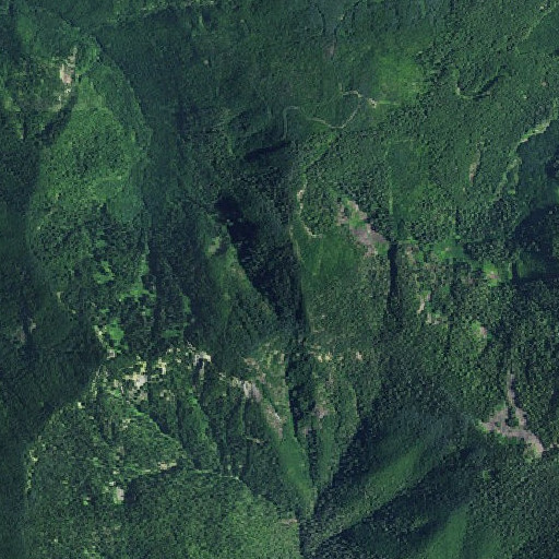 Aerial imagery of Roland Creek, OR