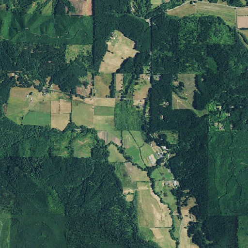 Aerial imagery of Jones Creek, OR